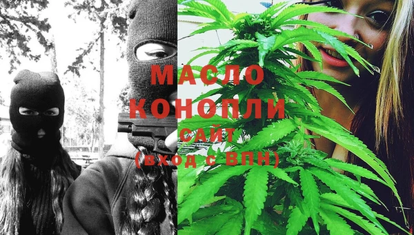 стаф Новодвинск